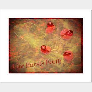 Life Bursts Forth Posters and Art